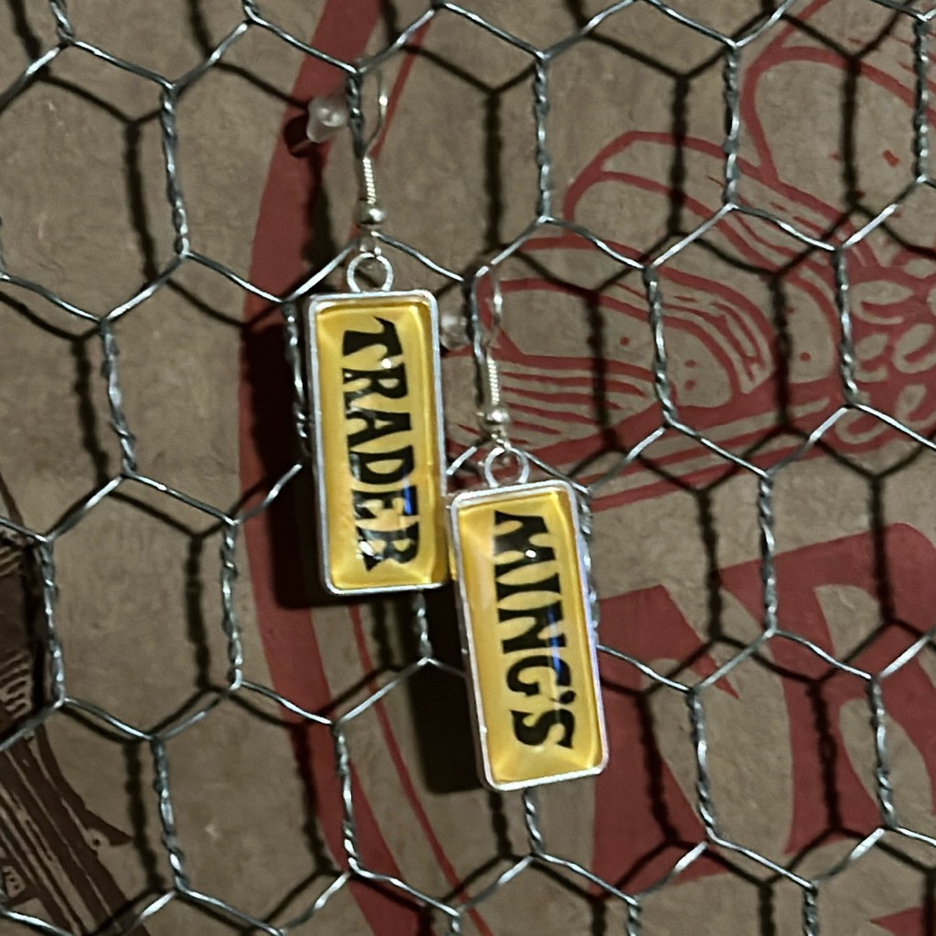 Trader Joe’s Rectangular Earrings